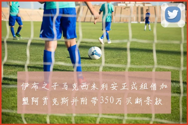 伊布之子马克西米利安正式租借加盟阿贾克斯并附带350万买断条款
