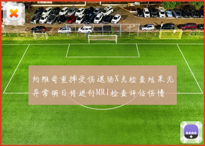约维奇重摔受伤退场X光检查结果无异常明日将进行MRI检查评估伤情