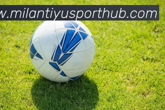 App Interface Preview