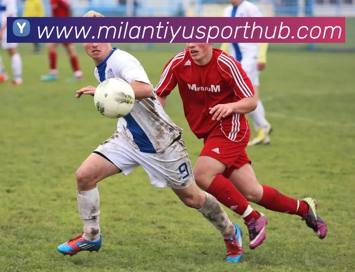 米兰体育APP 封面图